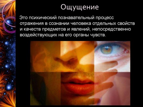 Психические процессы ощущение