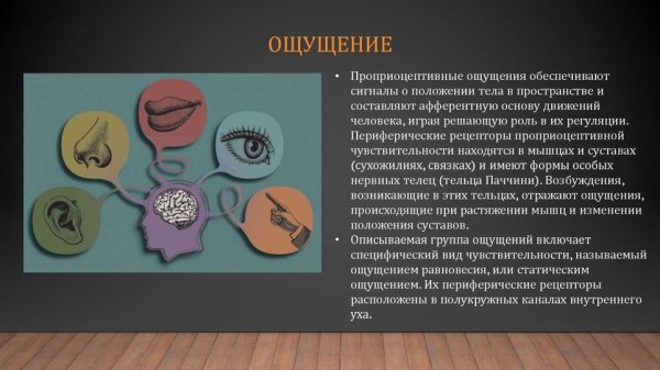 Восприятие запахов