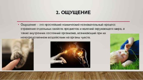 Психические Познавательные процессы ощущение