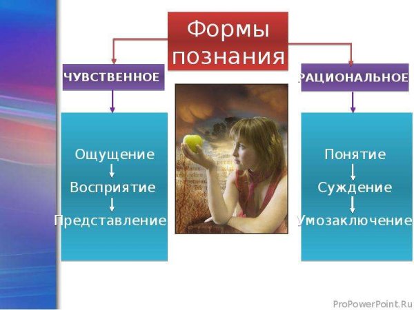 Ощущение восприятие представление