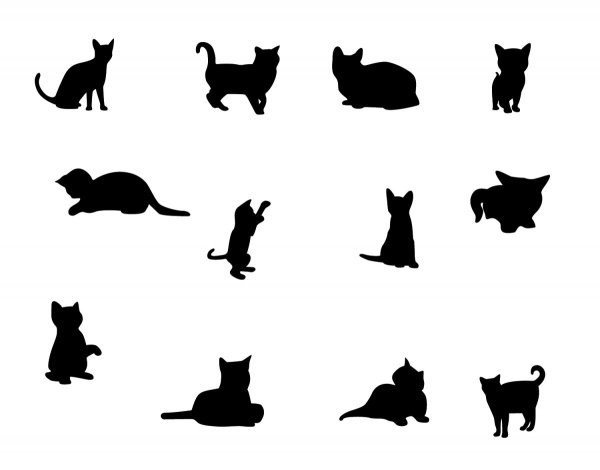 Силуэт котенка