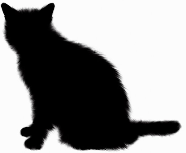 Черный кот тень