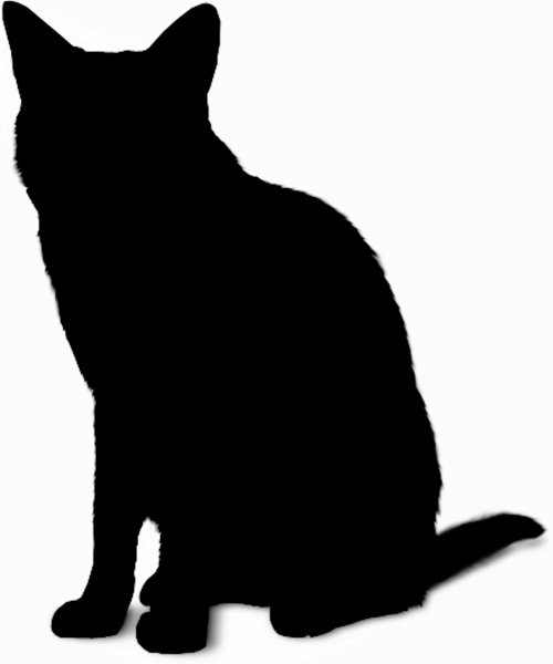 Очертания кошки