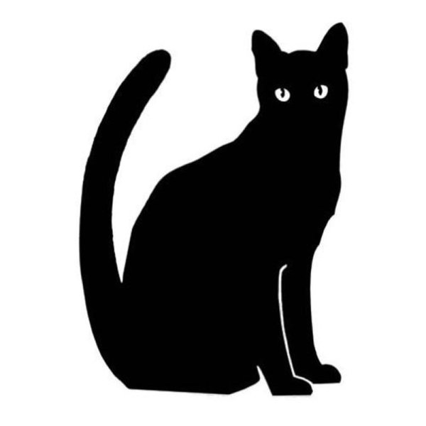 Чёрный кот