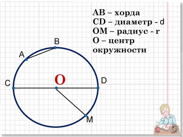 Отрезок в окружности