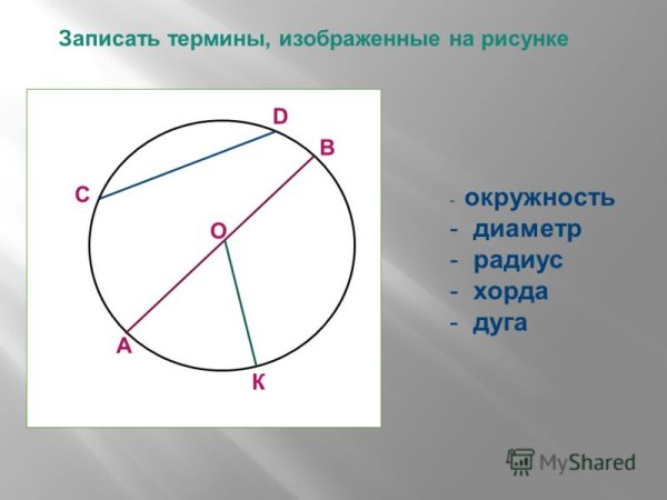 Элементы круга и окружности