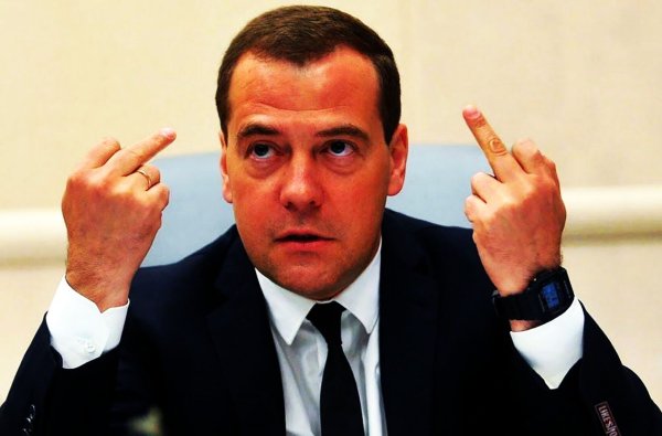 Дмитриев Медведев