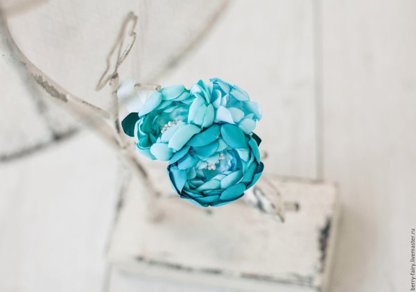 Розы бирюза