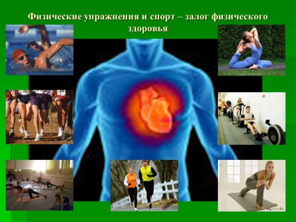 Влияние физкультуры и спорта на организм человека