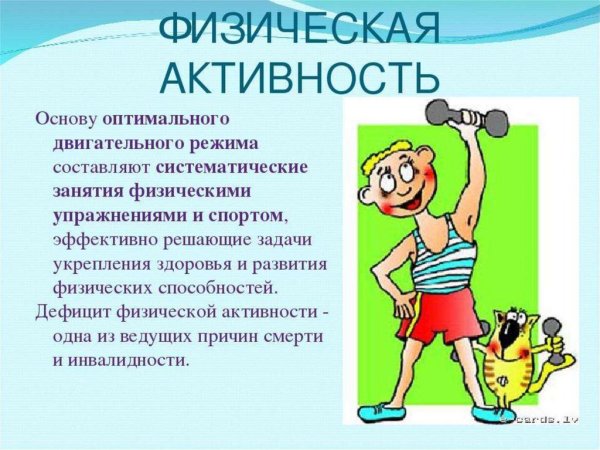Двигательная активность ЗОЖ