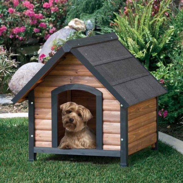 Конура собак Dog House