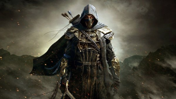 The Elder Scrolls online воин
