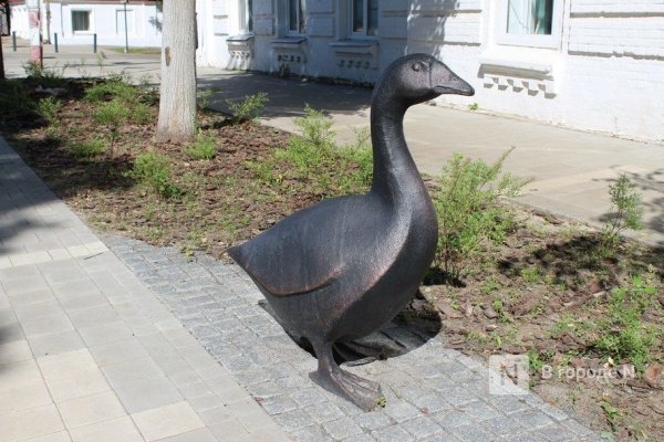 Арзамасский Гусь