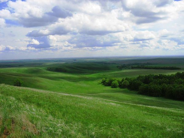 Лесостепи Евразии