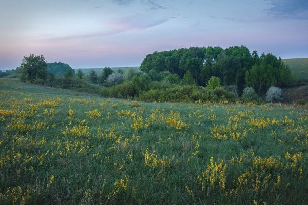 Казацкий участок Центрально-Черноземного заповедника