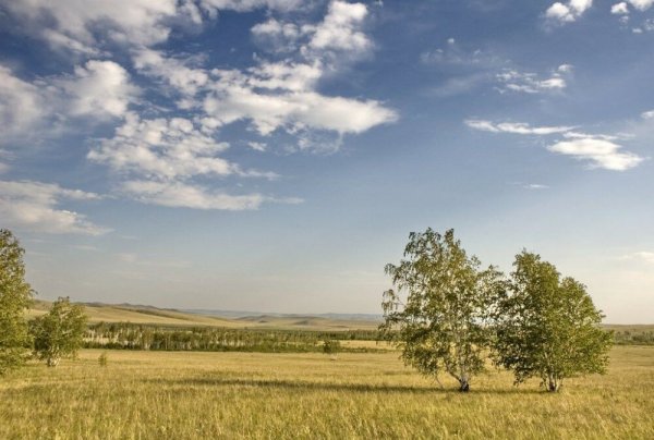 Степь, лесостепь, Алтая