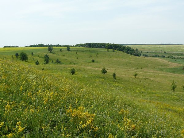Красноярская лесостепь