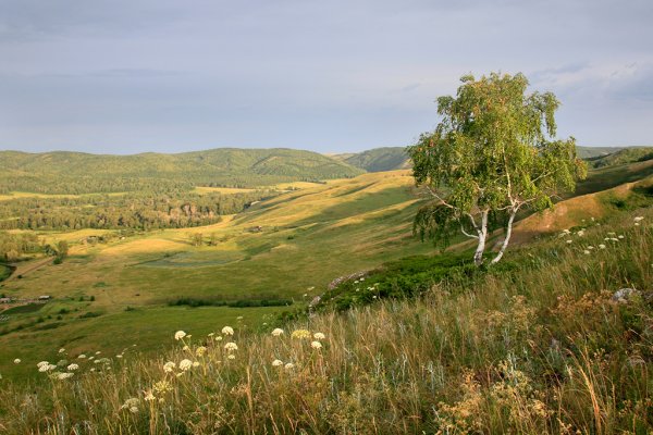 Башкирия степи лесостепи