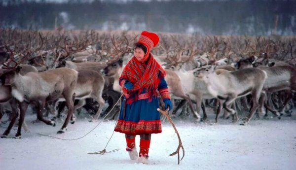 Лапландия саамы