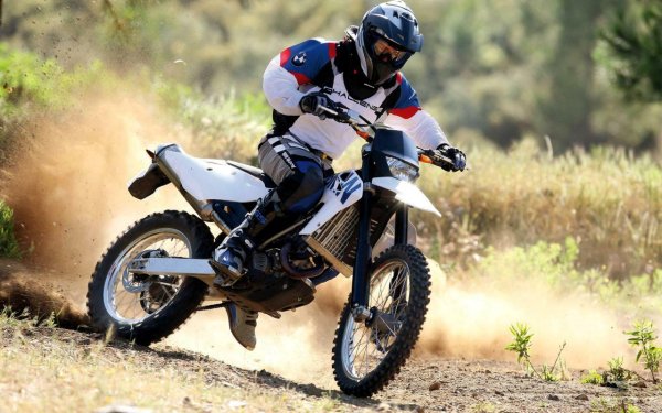 BMW g450x 2011