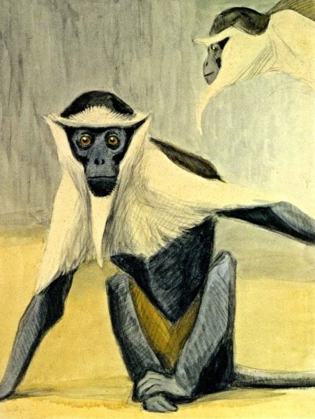 Василий Алексеевич Ватагин 1883-1969