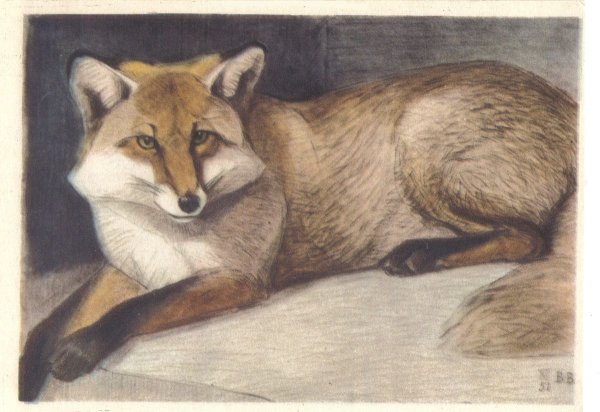 Василий Ватагин анималист