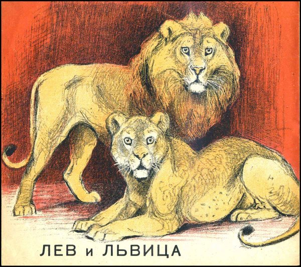 Анималистический Жанр Василий Ватагин