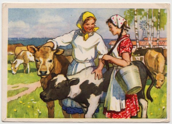 Красивая доярка