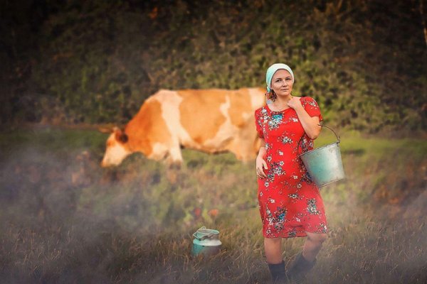 Девушка корова
