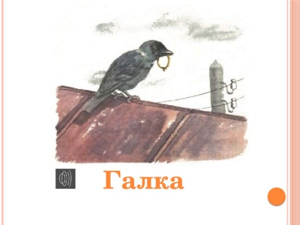 Рассказ Житкова Галка