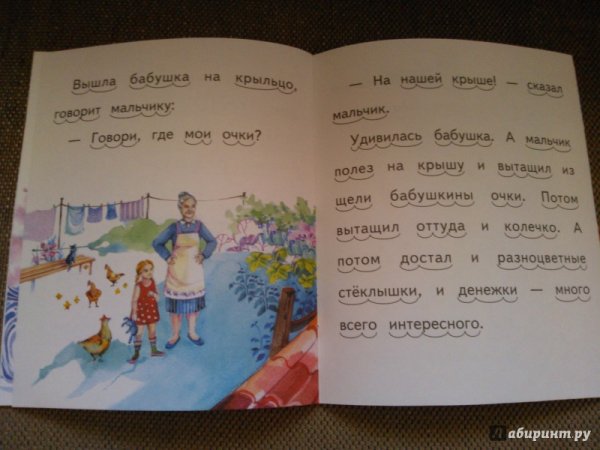 Рассказ Житкова Галка