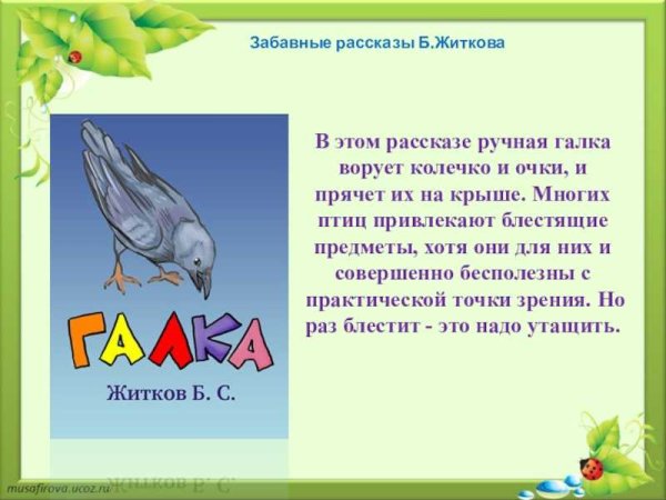 Рассказ Бориса Житкова Галка