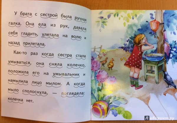 Галка на снегу