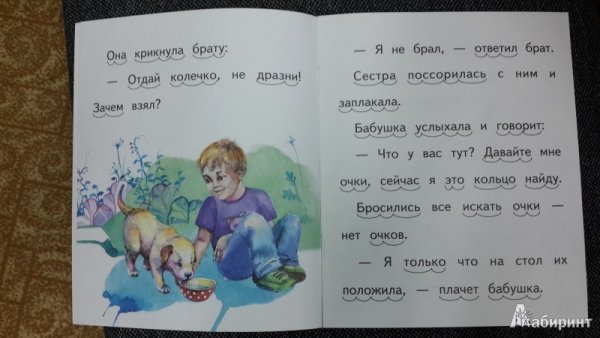 Сказка б.Житкова «Галка»