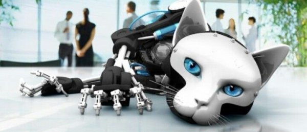 Роботизированный робот кот