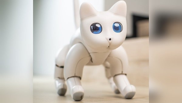 Роботизированная кошка