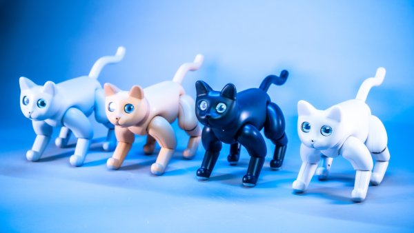 MARSCAT робот-кошка