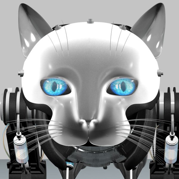 Которобот NECORO
