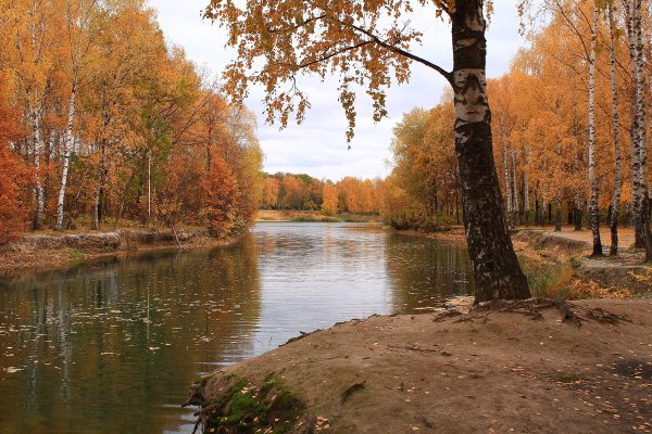 Чайковский осень