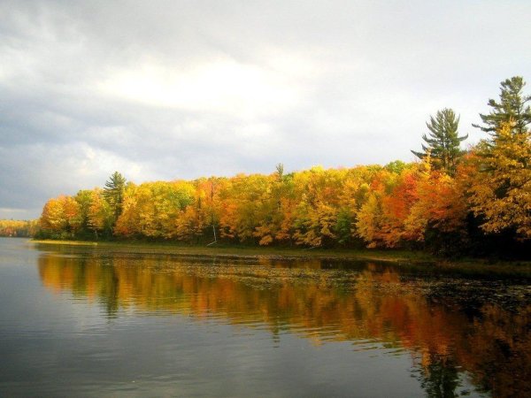 Осень город Чайковский