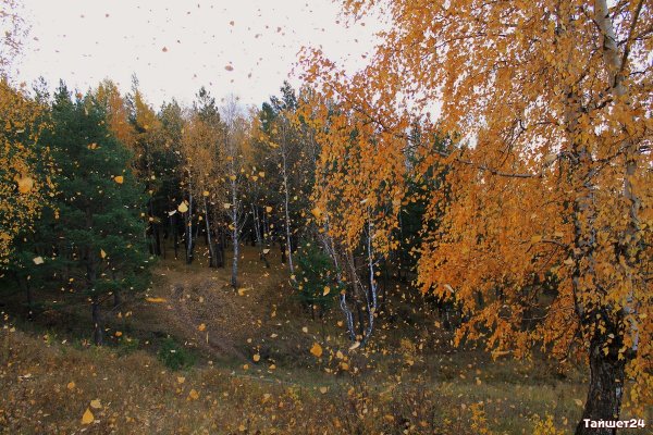 Осенняя песнь