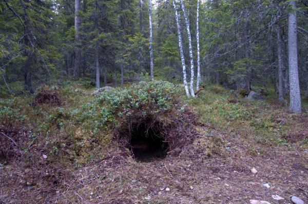 Медвежья Берлога