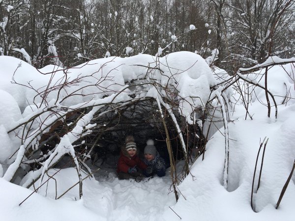 Медведь зимой в берлоге