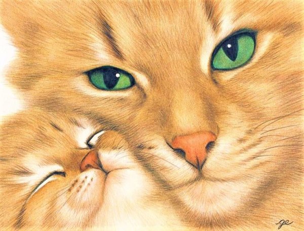 Заботливая мама кошка