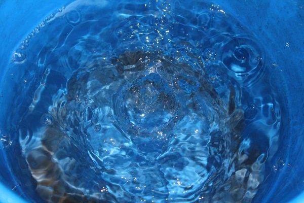 Животворящая вода