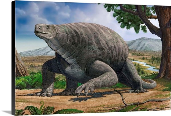 Cotylorhynchus Romeri