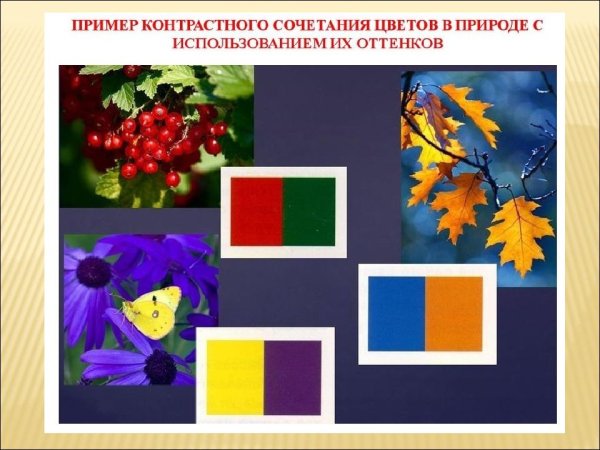 Контраст основных и дополнительных цветов
