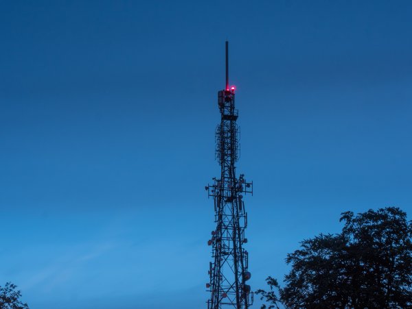 Вышки 5g в кактусах