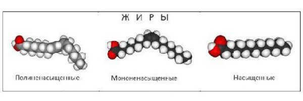 Структура молекулы жира