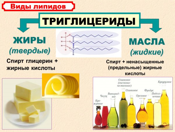 Твердые и жидкие жиры